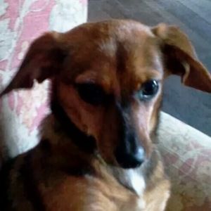 Meet your Posher, Melisa